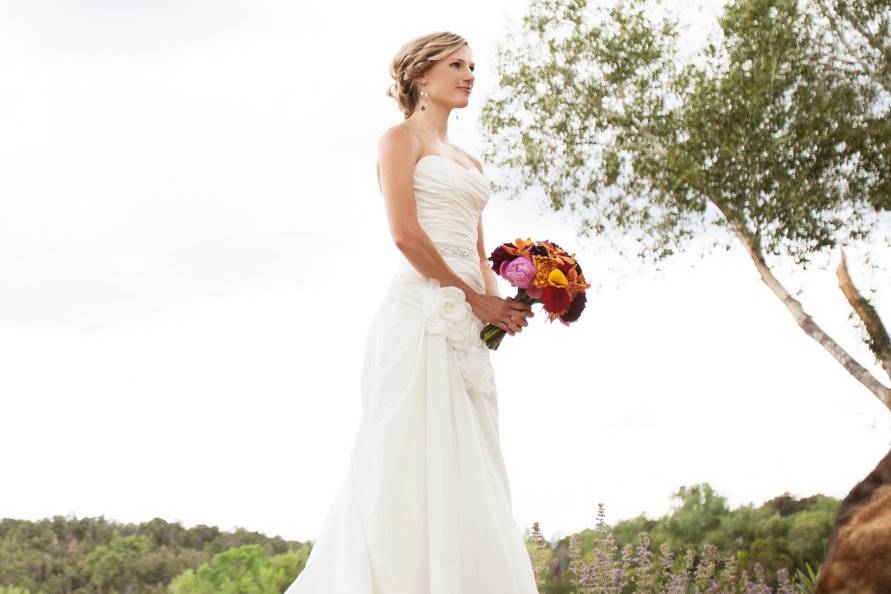 Heather Chapman Hair