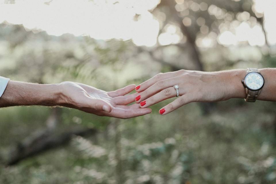 Engagement Hands