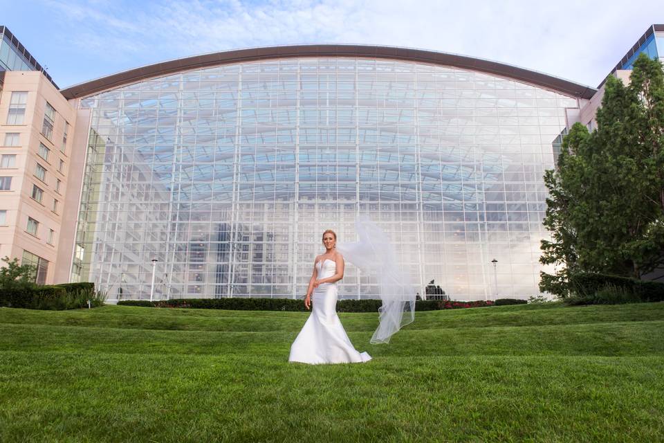 Gaylord Hotel Wedding