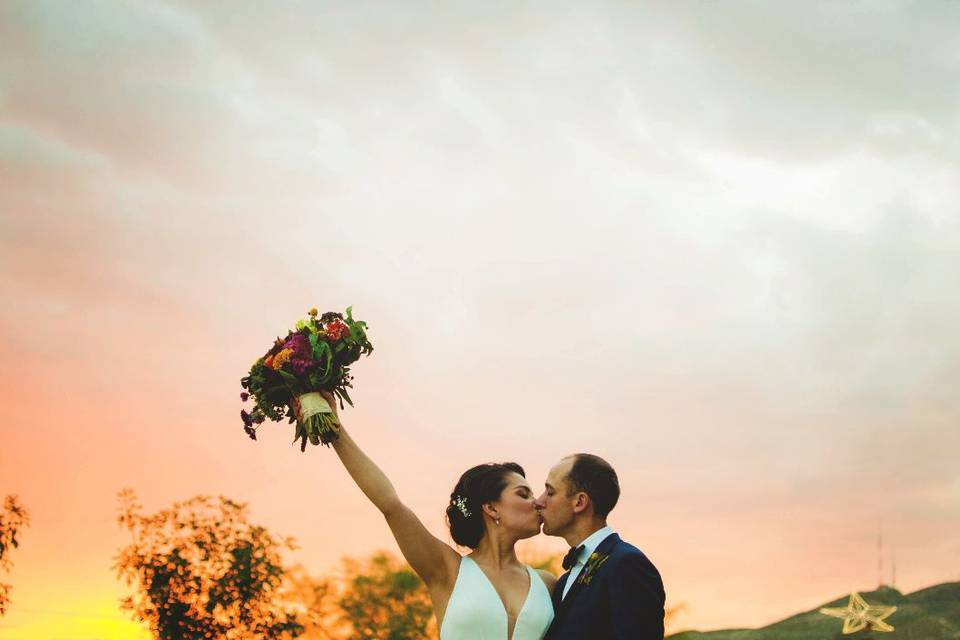 Flowers at sunset