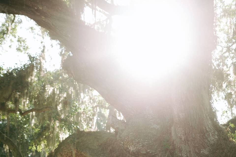 Experienced Public Speaker