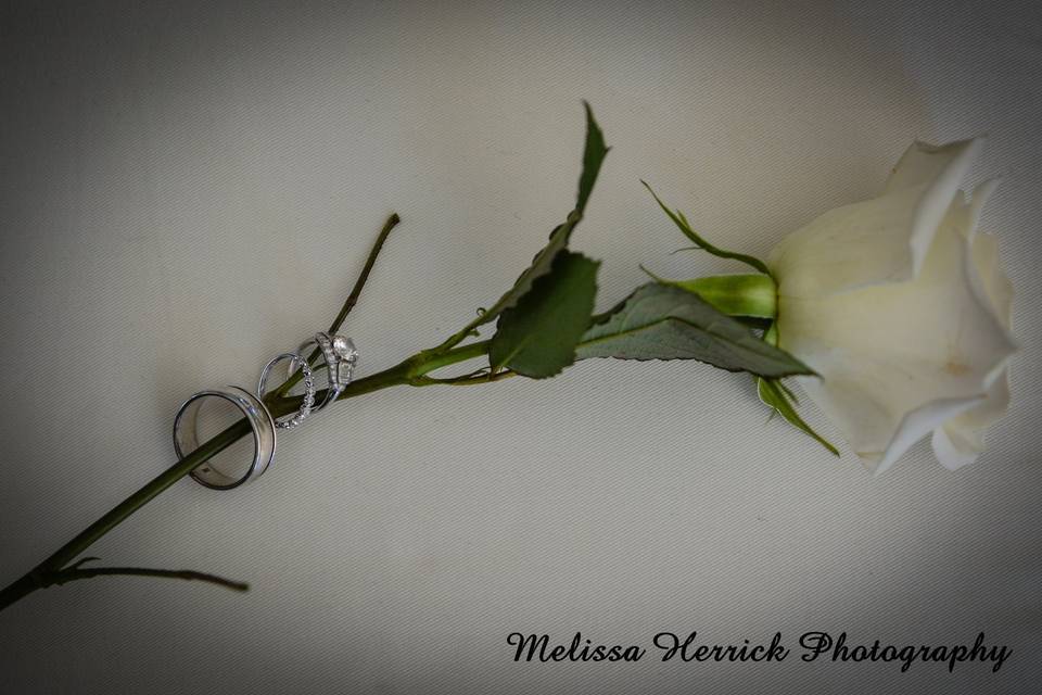 Melissa Herrick Photography