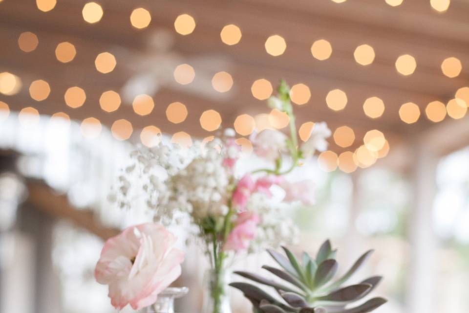 Charlotte Grace Photography