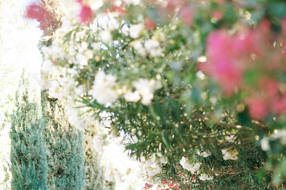 Bougainvillea Floral Ceremony