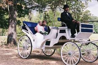 Deep South Carriage, Inc.