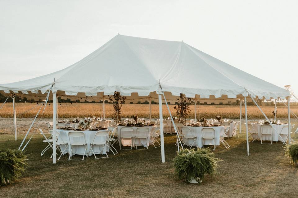 Tablescape