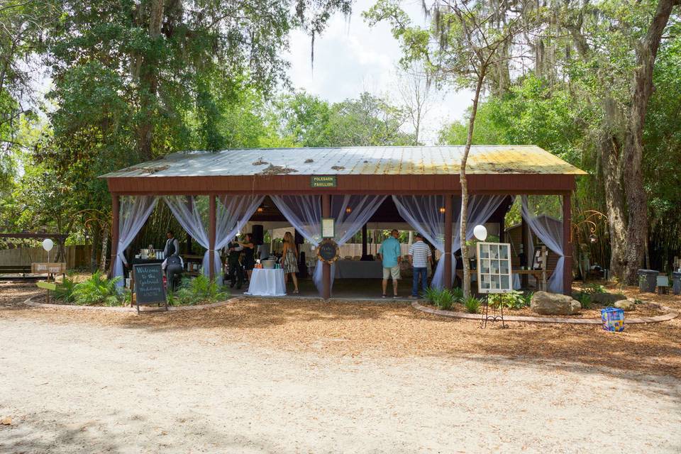 Wedding reception