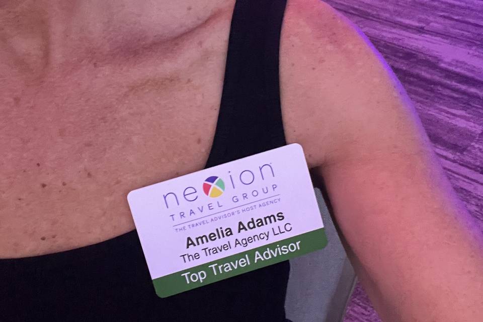 THE TRAVEL AGENCY LLC
