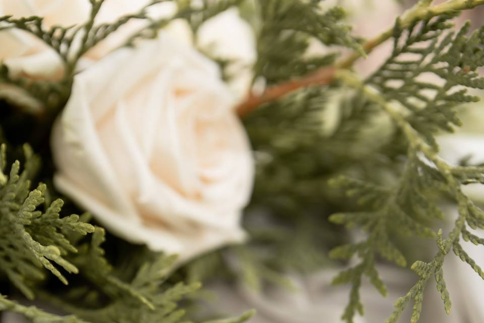 R6__2863.jpg