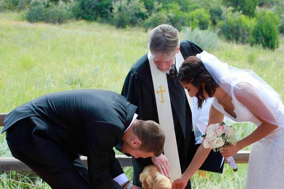 Landy the ring bearer