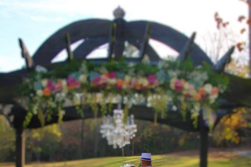 Dream Weddings and Events