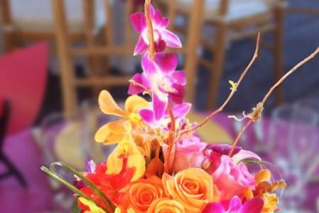 Orange and fuchsia centerpiece with orhids attached to branches
