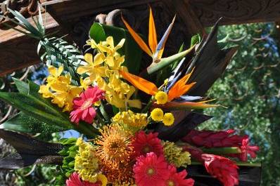 Tropical  bombay orchids, orange pincushion, Bird of Paradise, Fuchsia Gerbera daisies, red Ginger, weaved leaves