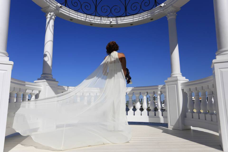 Bridal portrait