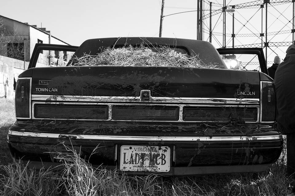 Strawberry Street Photography