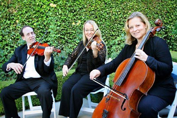 String Trio - Essence Entertainment