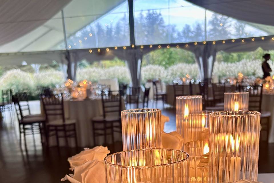 White Swan Weds