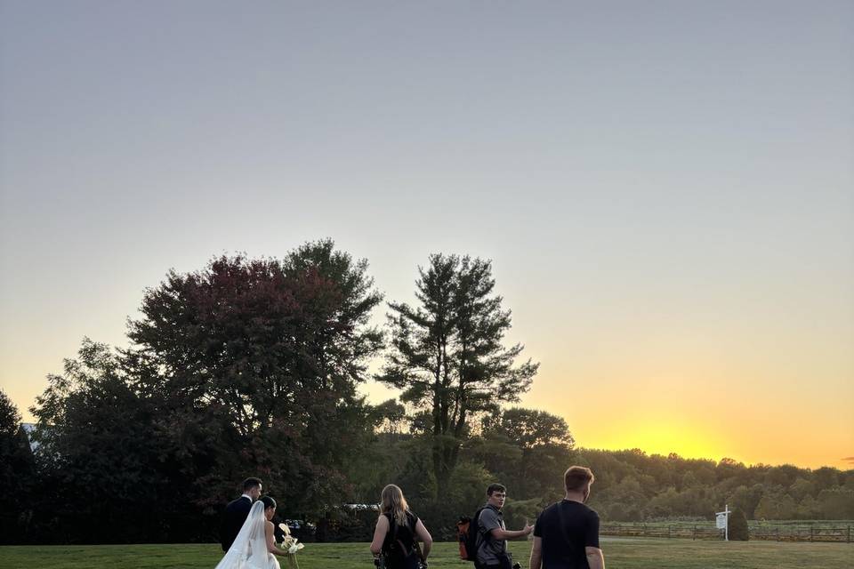 White Swan Weds