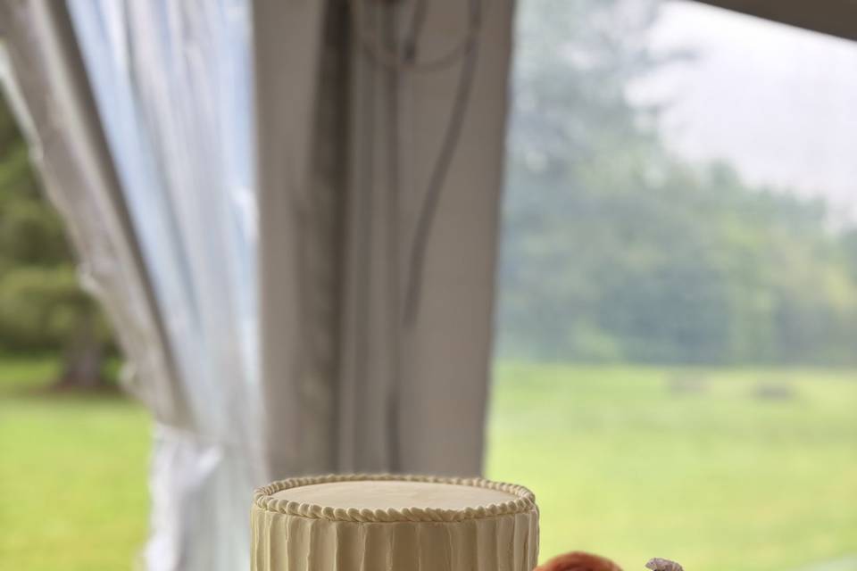 White Swan Weds