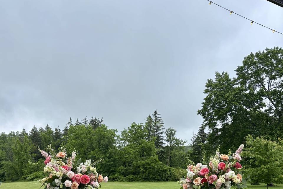 White Swan Weds