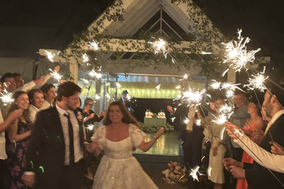 White Swan Weds