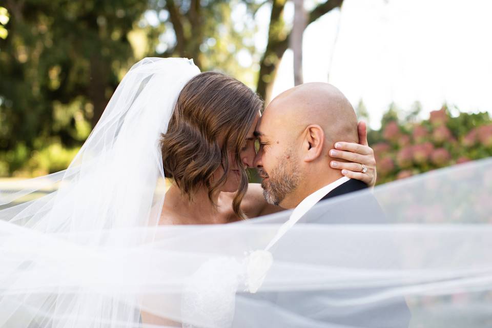 White Swan Weds