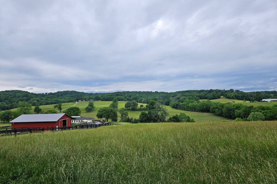Our Farm View