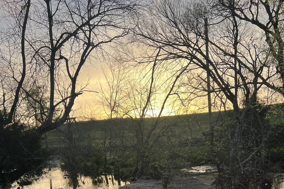 After a Rain