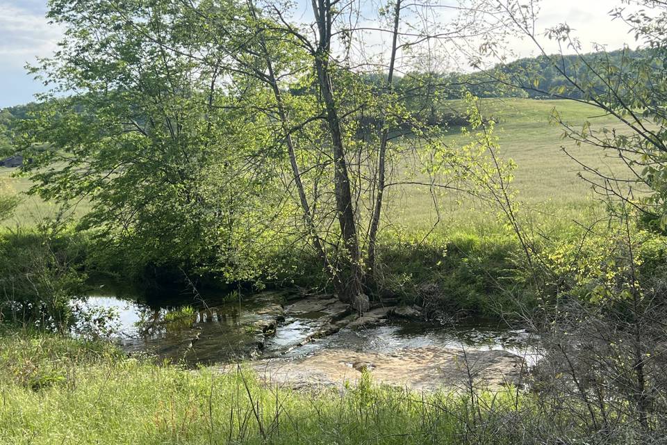 The Brook