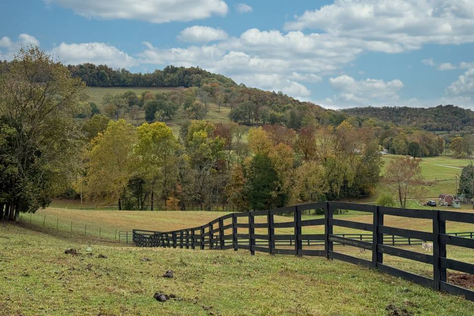 Rolling Hills