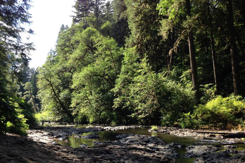 Silver Falls Lodge and Conference Center