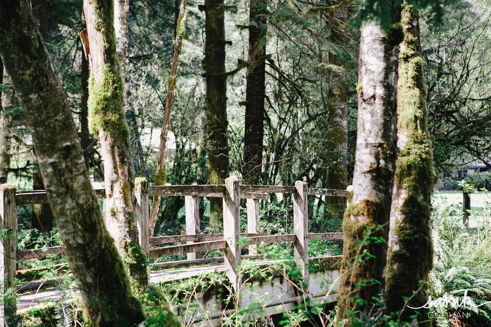 Ceremony Bridge