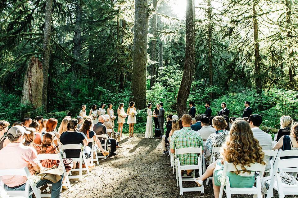 Forest Wedding Ceremony