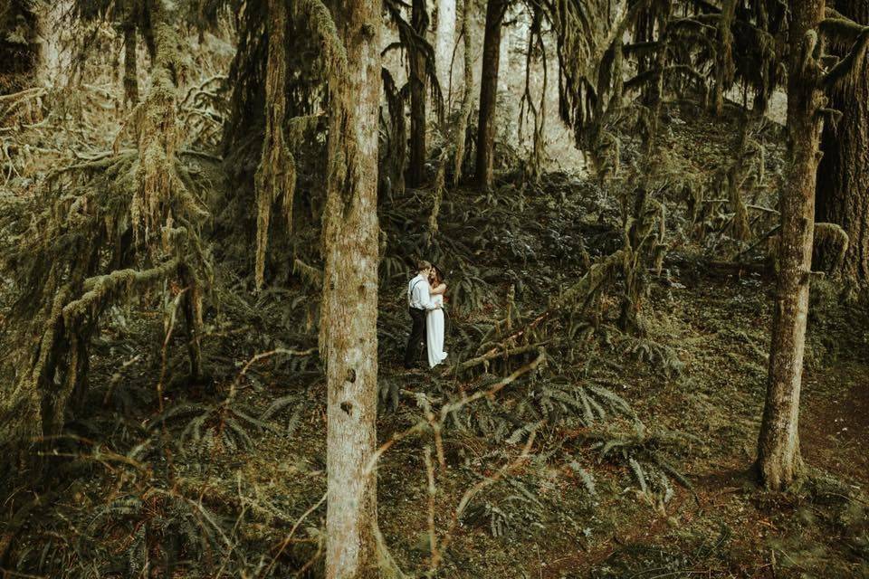 Forest elopement.