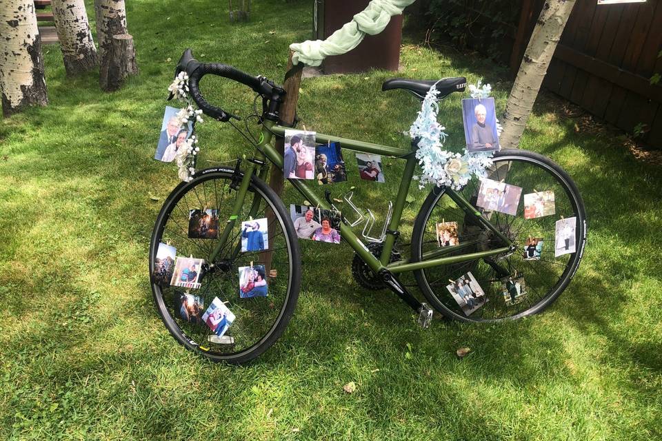 Family photo bike