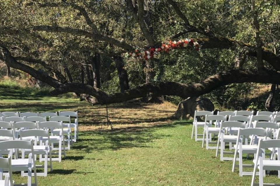 An lush ceremony site