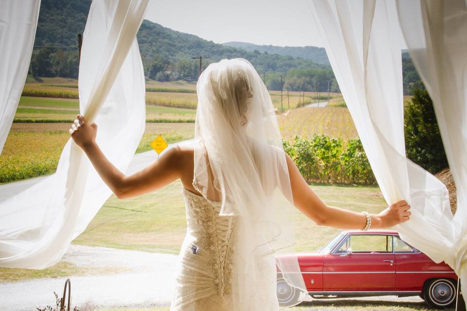 Deborah Hurd Photography