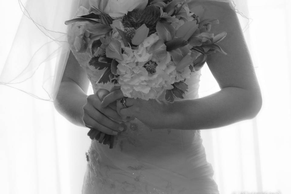 Deborah Hurd Photography