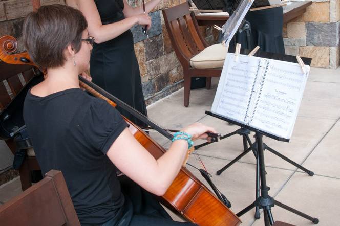 Flute and Strings by Christen Stephens