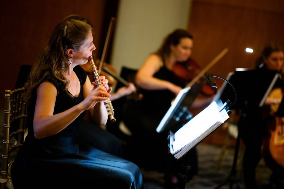 Flute and String Quartet