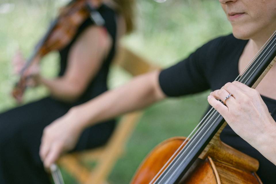 Flute and Strings by Christen Stephens