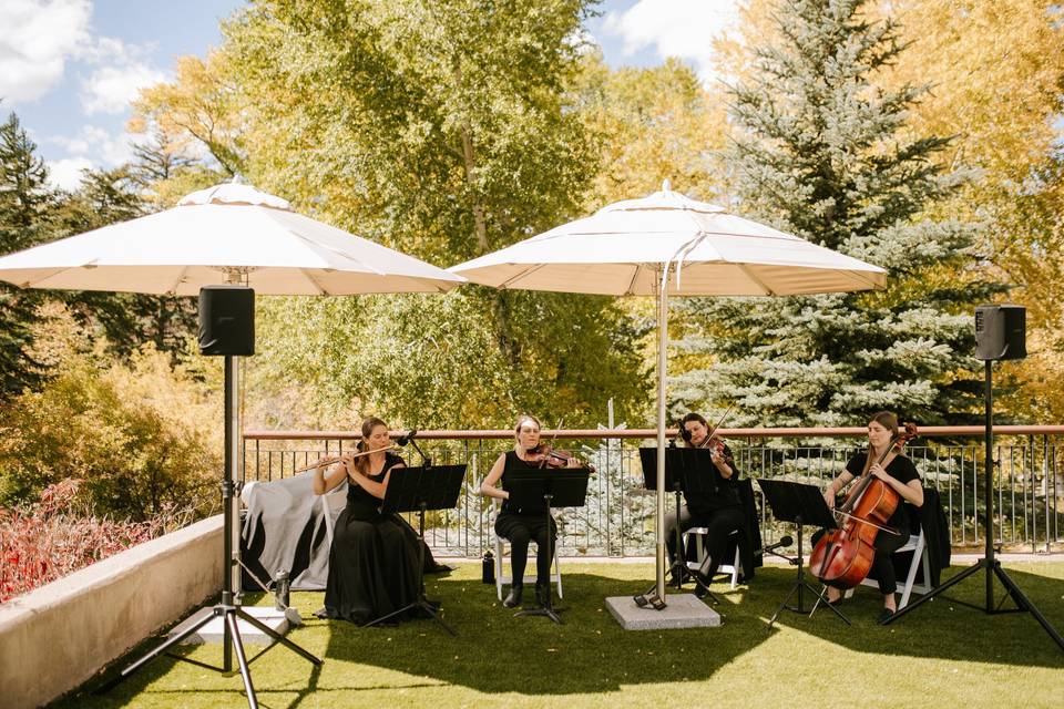 Flute and String Quartet