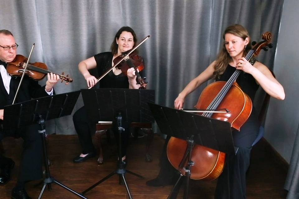 String Trio Wedding Music