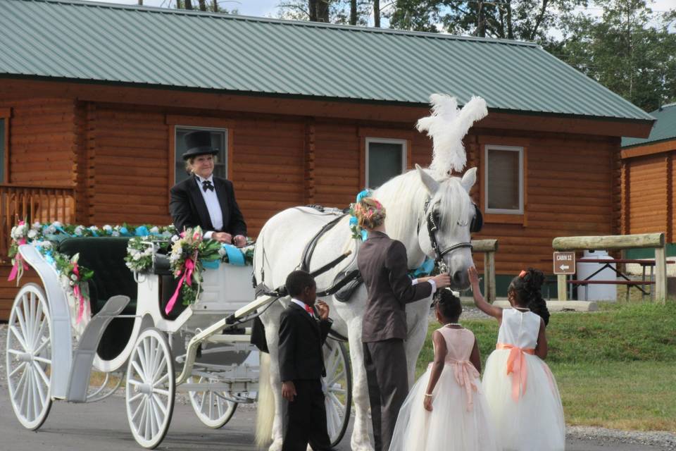 Carriage Ride