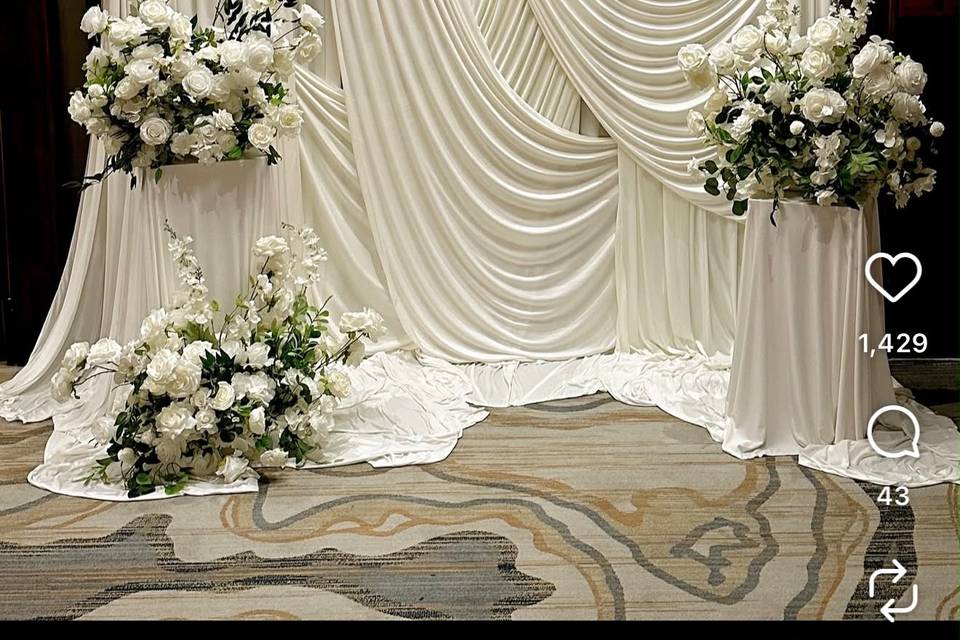 backdrop