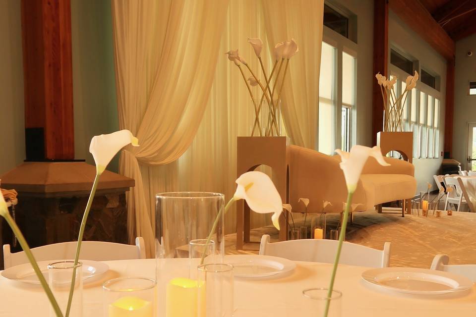 Elegant reception