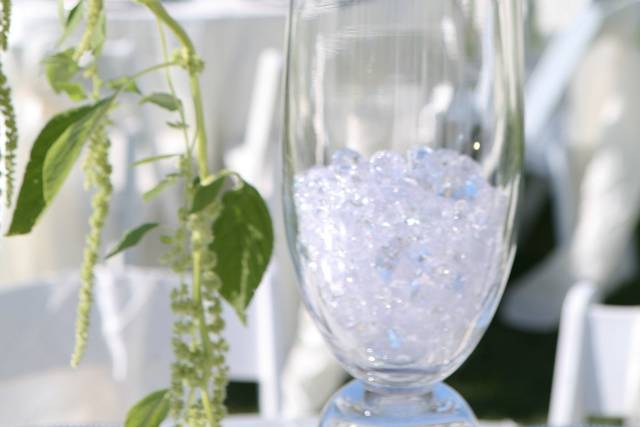 Twigs and Petals Floral Boutique