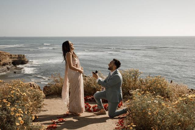 Beach proposals