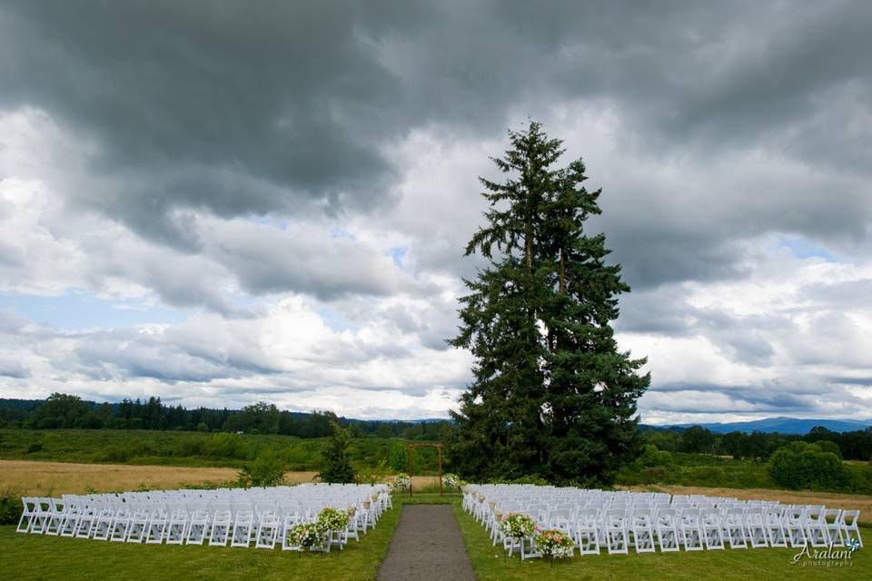 Wedding venue setup