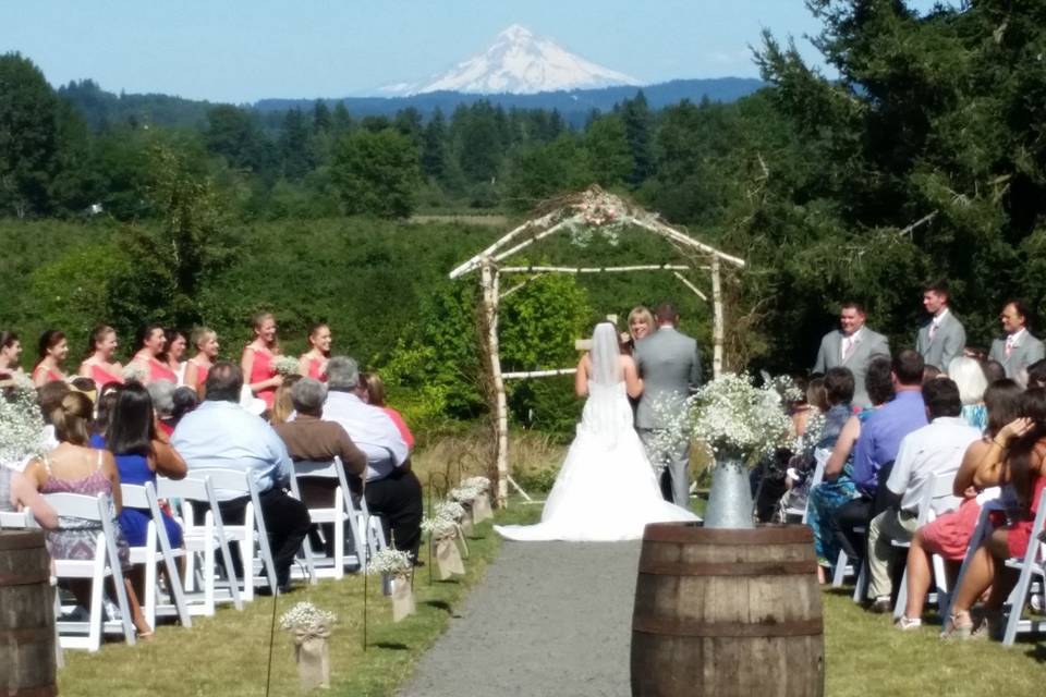 Wedding guests